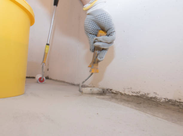 Best Bed Bug Extermination  in Golden Valley, AZ